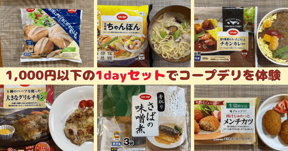 まとめ：コープデリお試セット約1,000円：1dayセットな入門編にぴったり